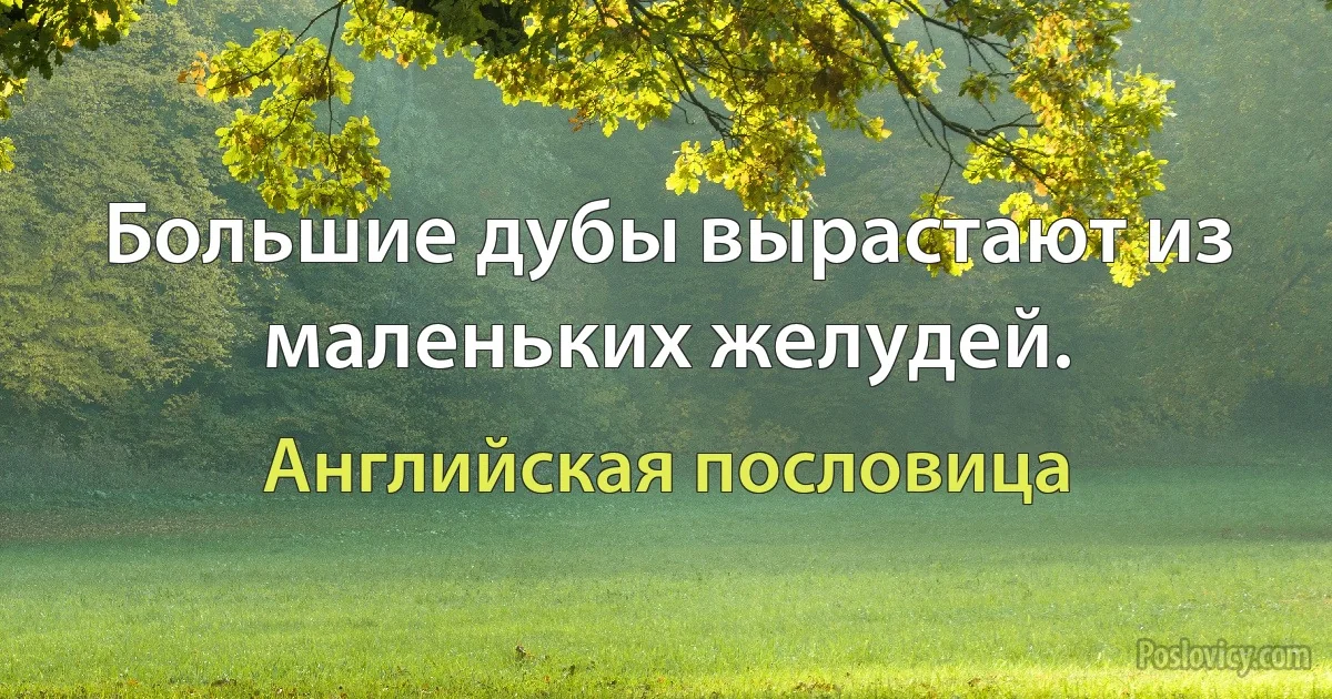 Большие дубы вырастают из маленьких желудей. (Английская пословица)