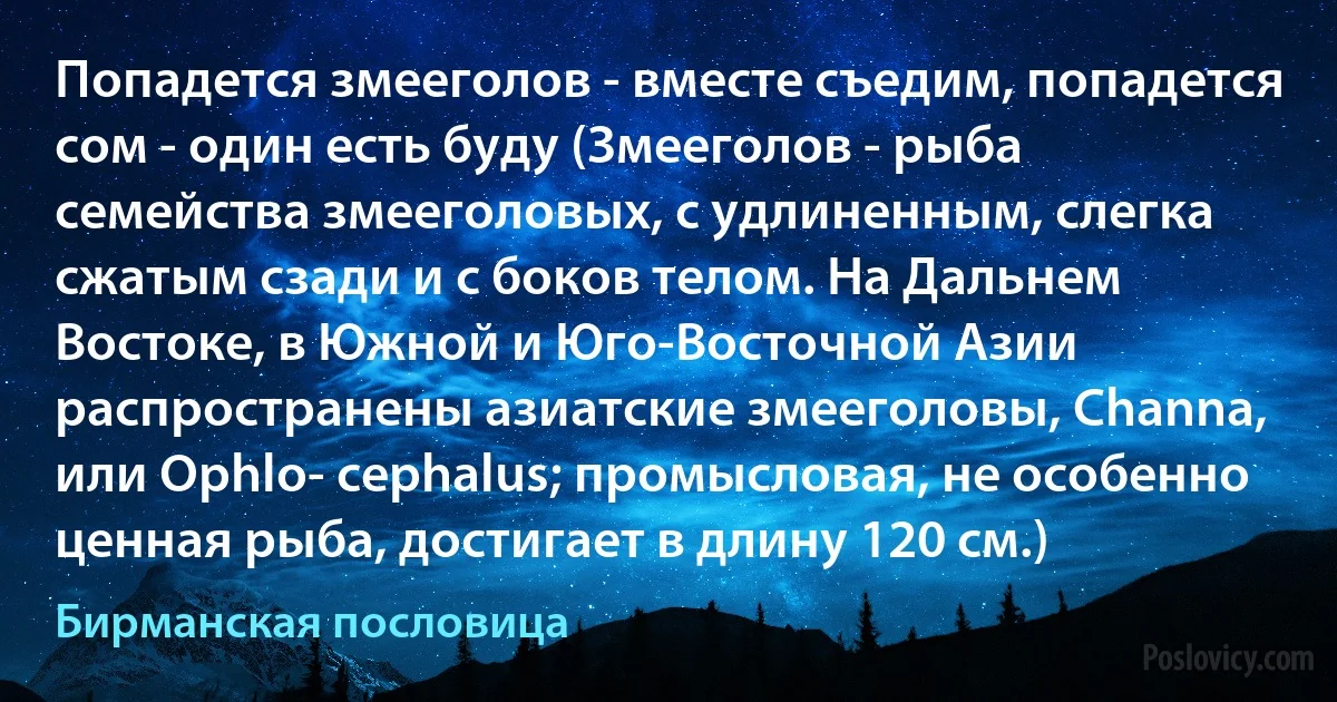 Попадется змееголов - вместе съедим, попадется сом - один есть буду (Змееголов - рыба семейства змееголовых, с удлиненным, слегка сжатым сзади и с боков телом. На Дальнем Востоке, в Южной и Юго-Восточной Азии распространены азиатские змееголовы, Channa, или Ophlo- cephalus; промысловая, не особенно ценная рыба, достигает в длину 120 см.) (Бирманская пословица)