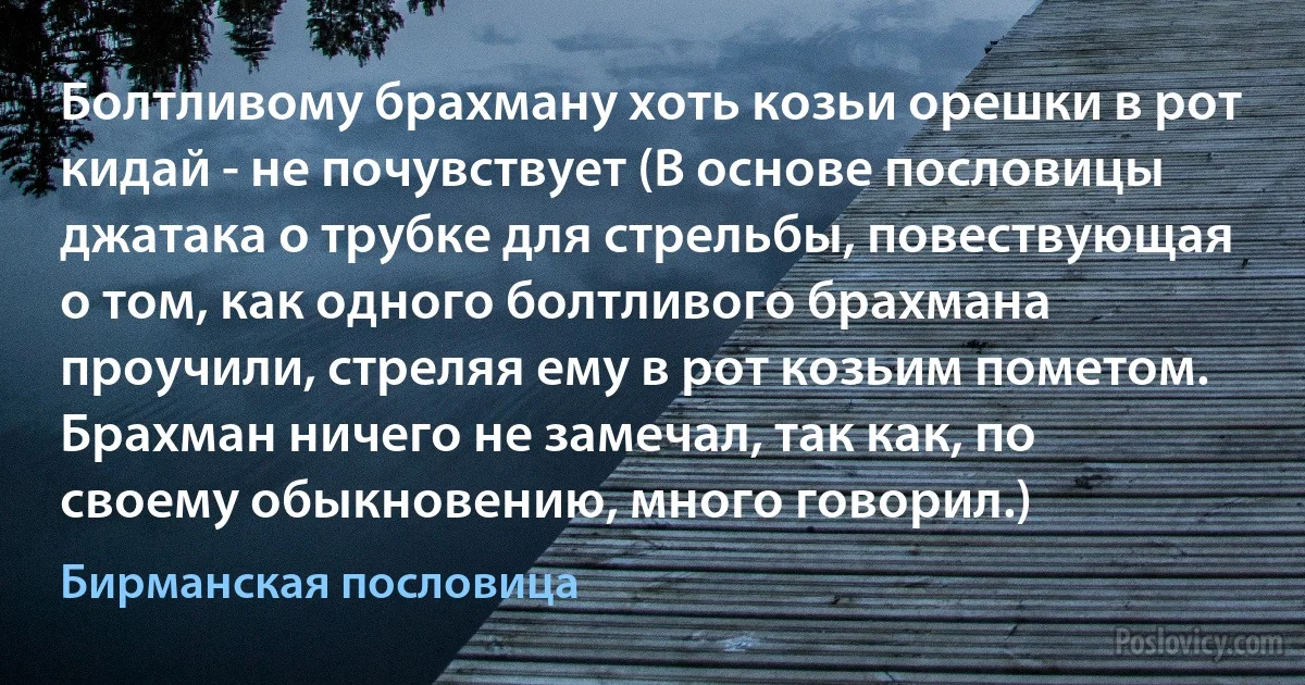 Болтливому брахману хоть козьи орешки в рот кидай - не почувствует (В основе пословицы джатака о трубке для стрельбы, повествующая о том, как одного болтливого брахмана проучили, стреляя ему в рот козьим пометом. Брахман ничего не замечал, так как, по своему обыкновению, много говорил.) (Бирманская пословица)