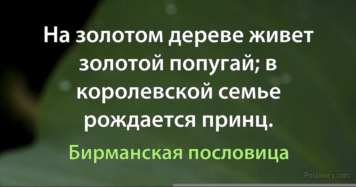 На золотом дереве живет золотой попугай; в королевской семье рождается принц. (Бирманская пословица)