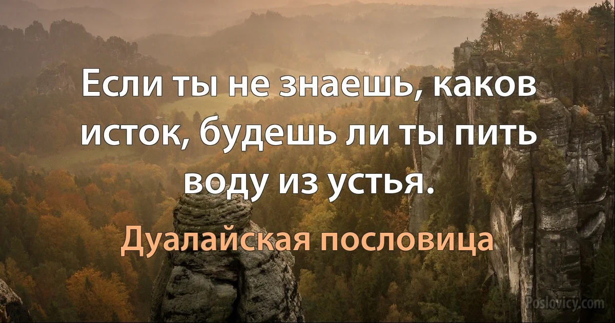 Если ты не знаешь, каков исток, будешь ли ты пить воду из устья. (Дуалайская пословица)