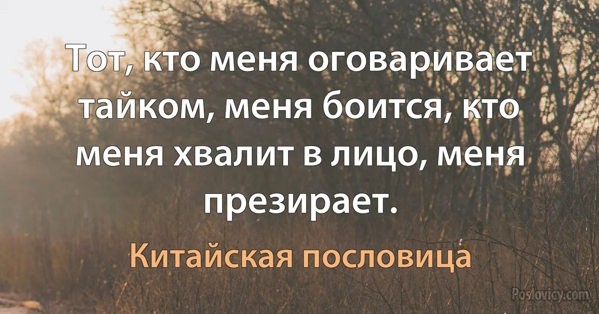 Тот, кто меня оговаривает тайком, меня боится, кто меня хвалит в лицо, меня презирает. (Китайская пословица)