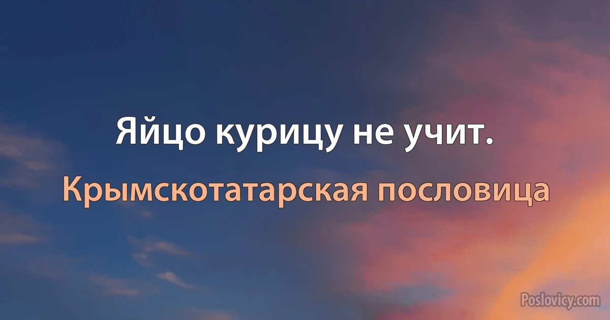 Яйцо курицу не учит. (Крымскотатарская пословица)