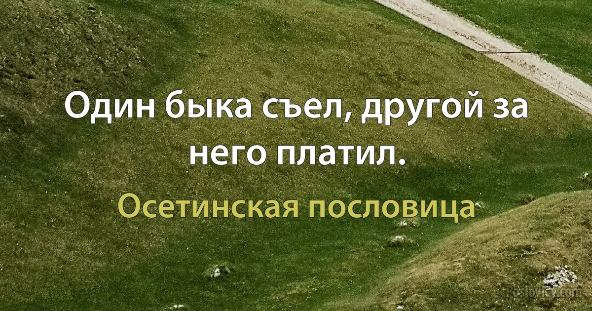 Один быка съел, другой за него платил. (Осетинская пословица)