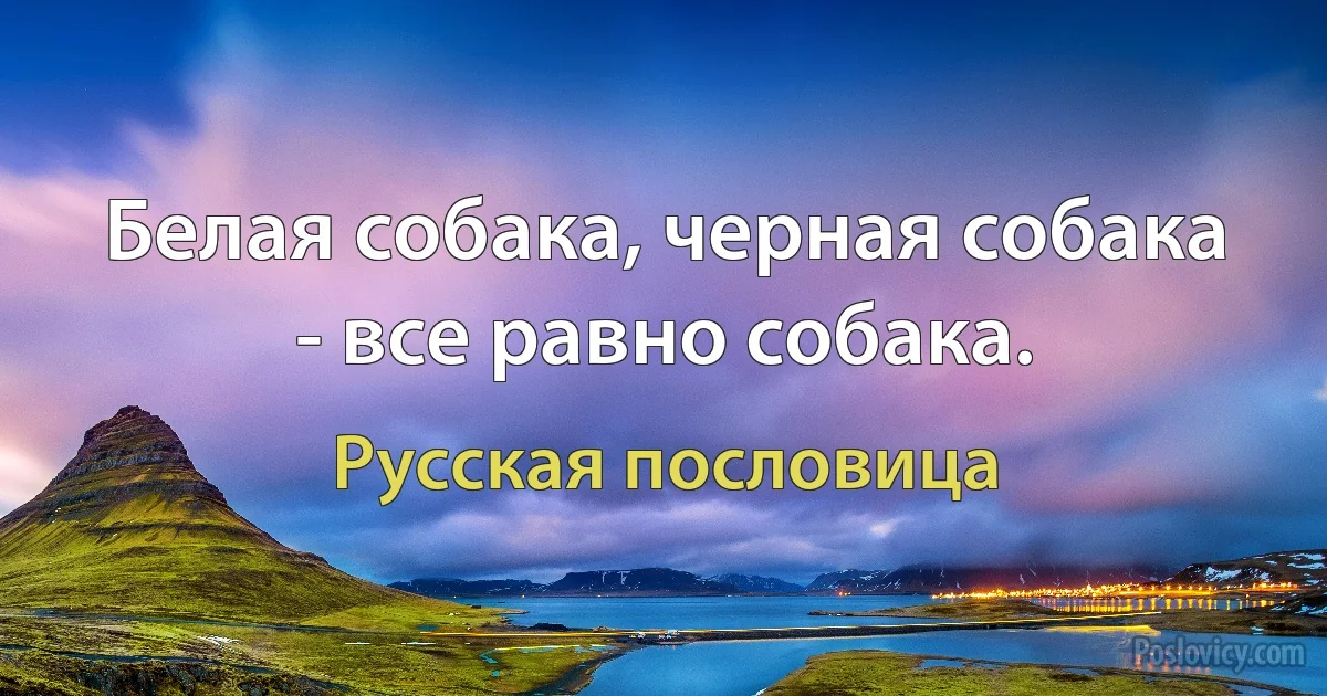 Белая собака, черная собака - все равно собака. (Русская пословица)