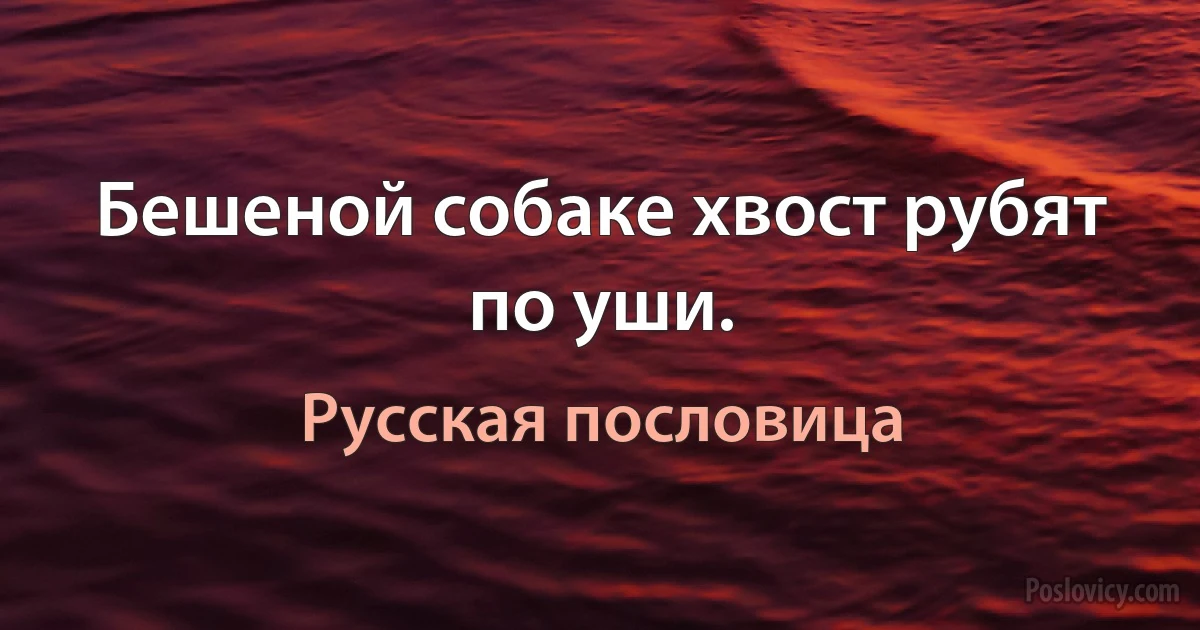 Бешеной собаке хвост рубят по уши. (Русская пословица)