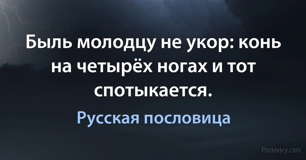 Быль молодцу не укор: конь на четырёх ногах и тот спотыкается. (Русская пословица)