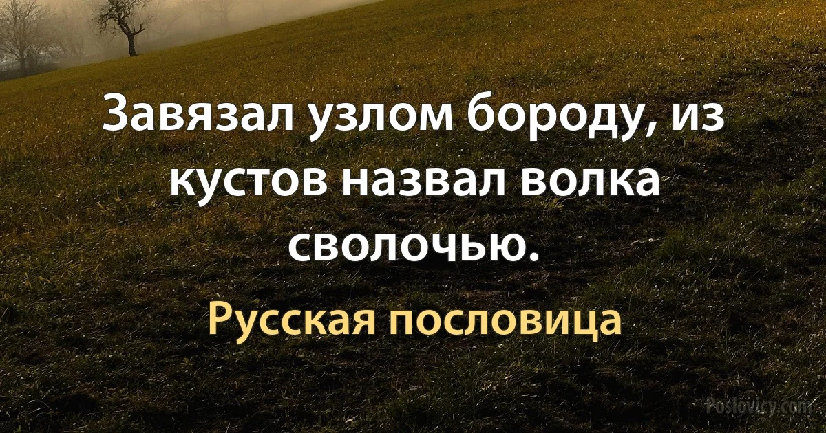 Завязал узлом бороду, из кустов назвал волка сволочью. (Русская пословица)