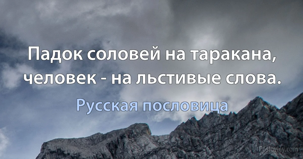 Падок соловей на таракана, человек - на льстивые слова. (Русская пословица)