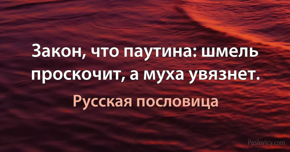 Закон, что паутина: шмель проскочит, а муха увязнет. (Русская пословица)