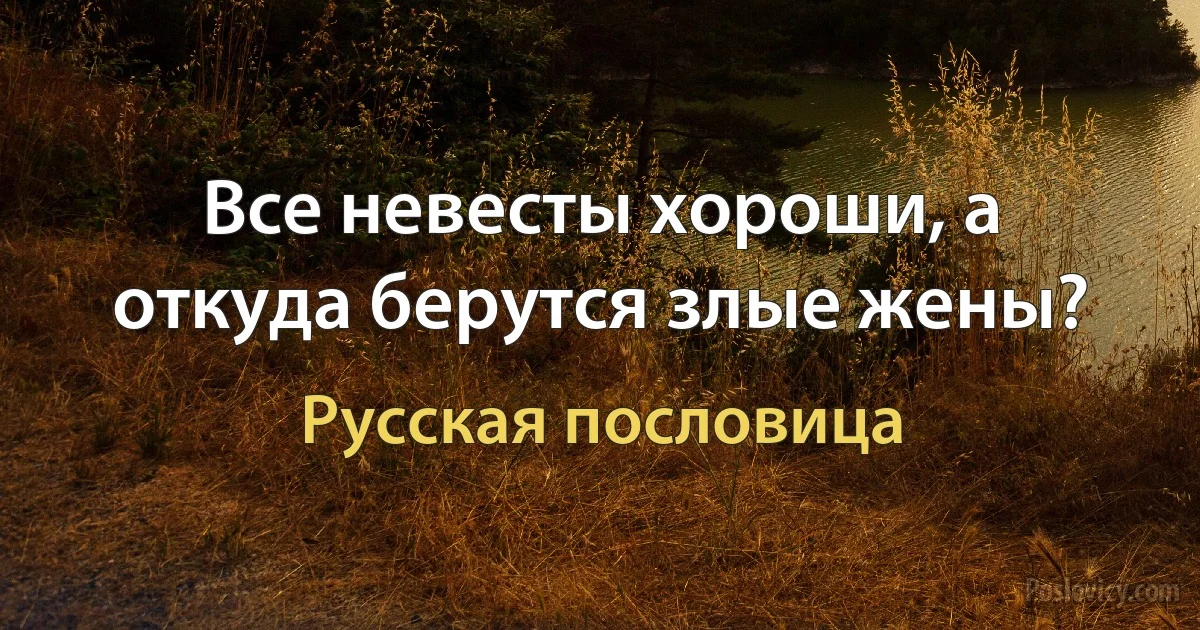 Все невесты хороши, а откуда берутся злые жены? (Русская пословица)