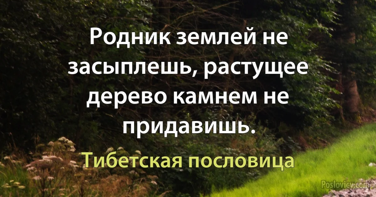 Родник землей не засыплешь, растущее дерево камнем не придавишь. (Тибетская пословица)