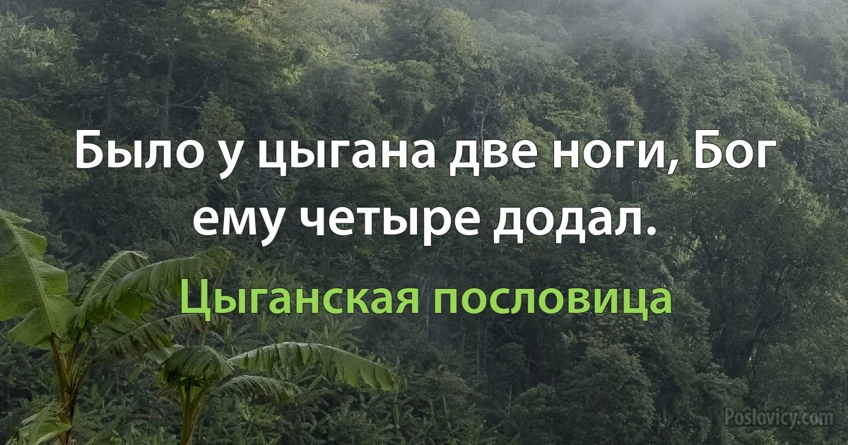 Было у цыгана две ноги, Бог ему четыре додал. (Цыганская пословица)