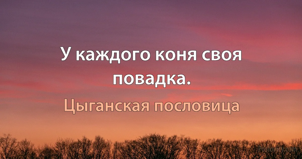 У каждого коня своя повадка. (Цыганская пословица)