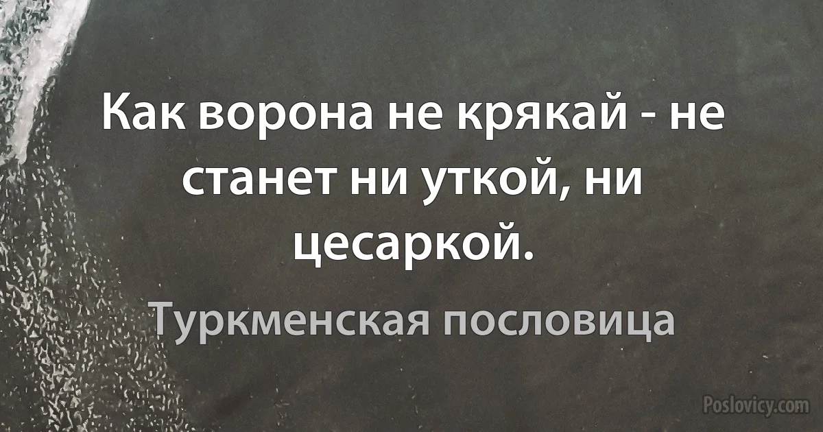 Как ворона не крякай - не станет ни уткой, ни цесаркой. (Туркменская пословица)