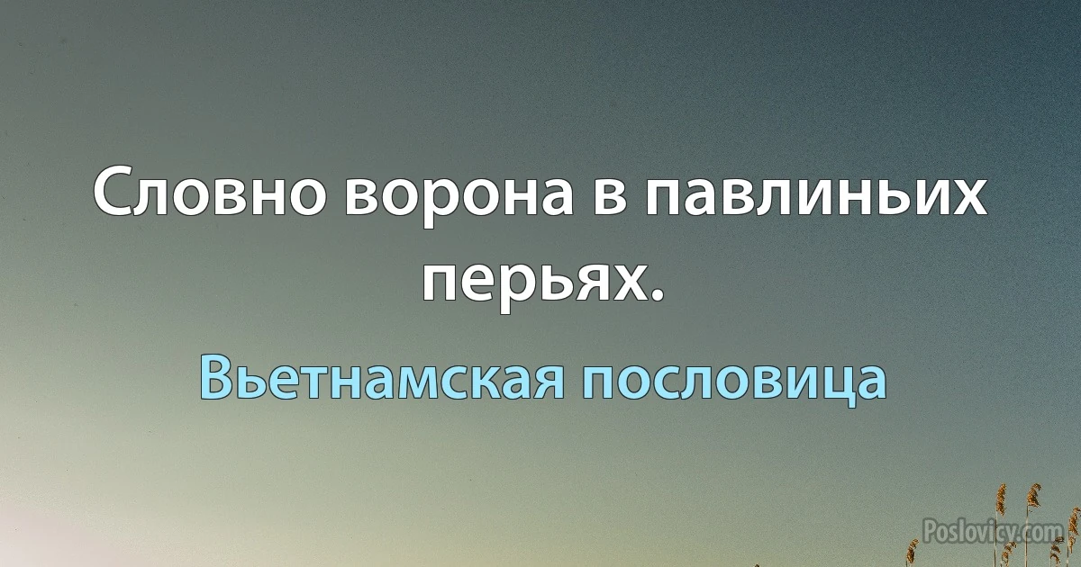 Словно ворона в павлиньих перьях. (Вьетнамская пословица)