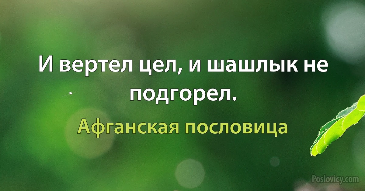 И вертел цел, и шашлык не подгорел. (Афганская пословица)