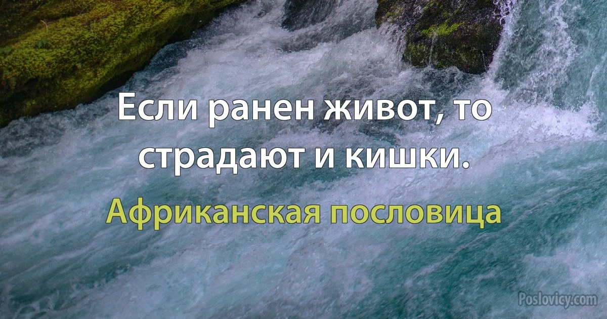 Если ранен живот, то страдают и кишки. (Африканская пословица)