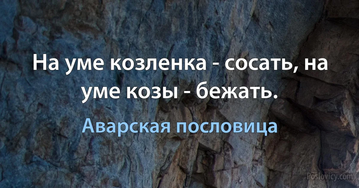 На уме козленка - сосать, на уме козы - бежать. (Аварская пословица)