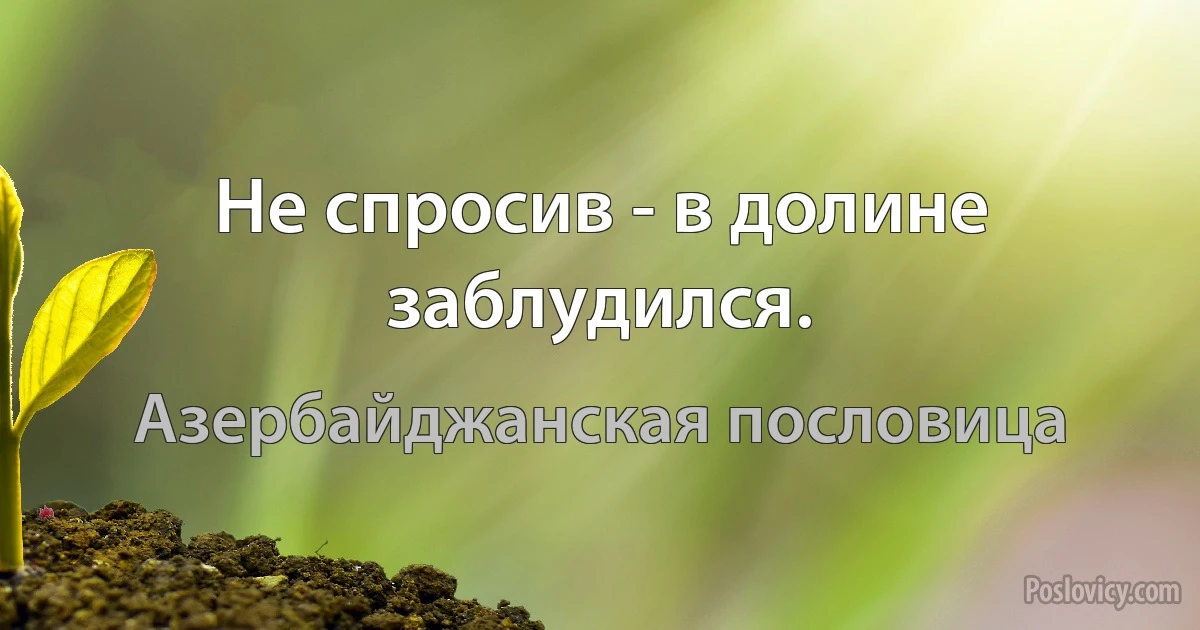 Не спросив - в долине заблудился. (Азербайджанская пословица)