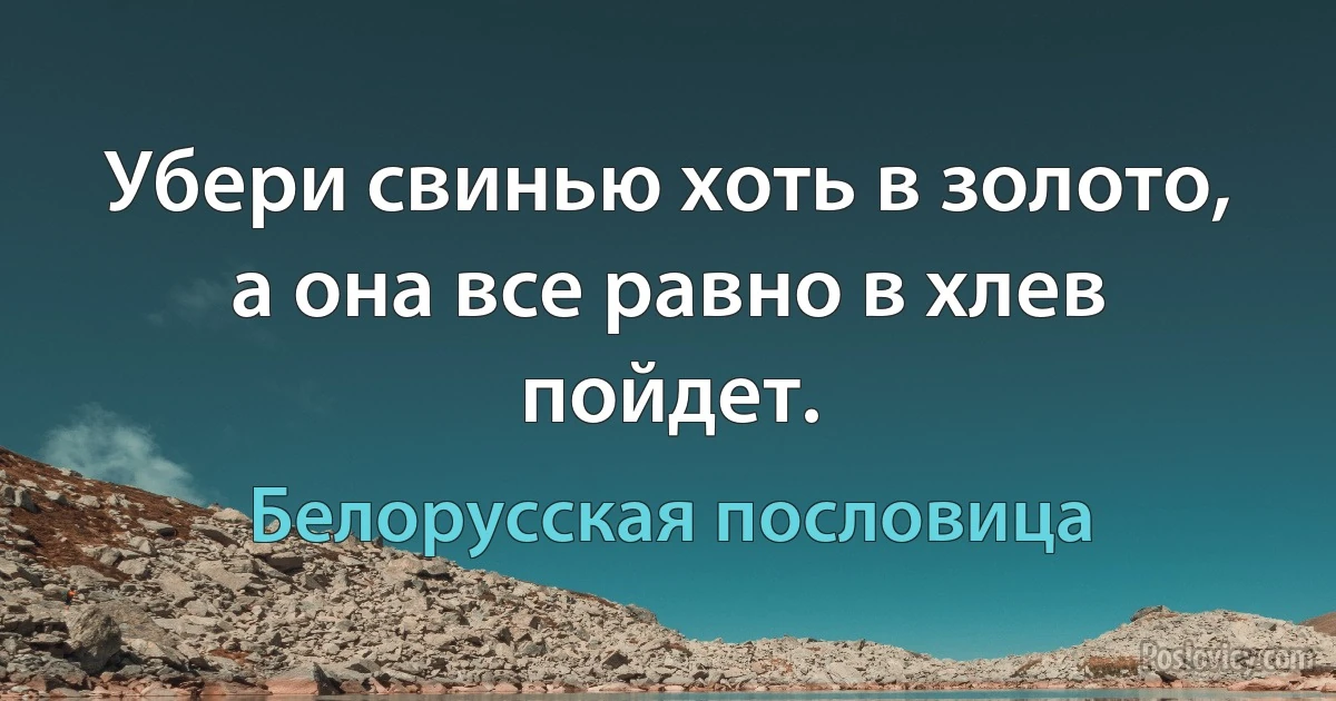 Убери свинью хоть в золото, а она все равно в хлев пойдет. (Белорусская пословица)