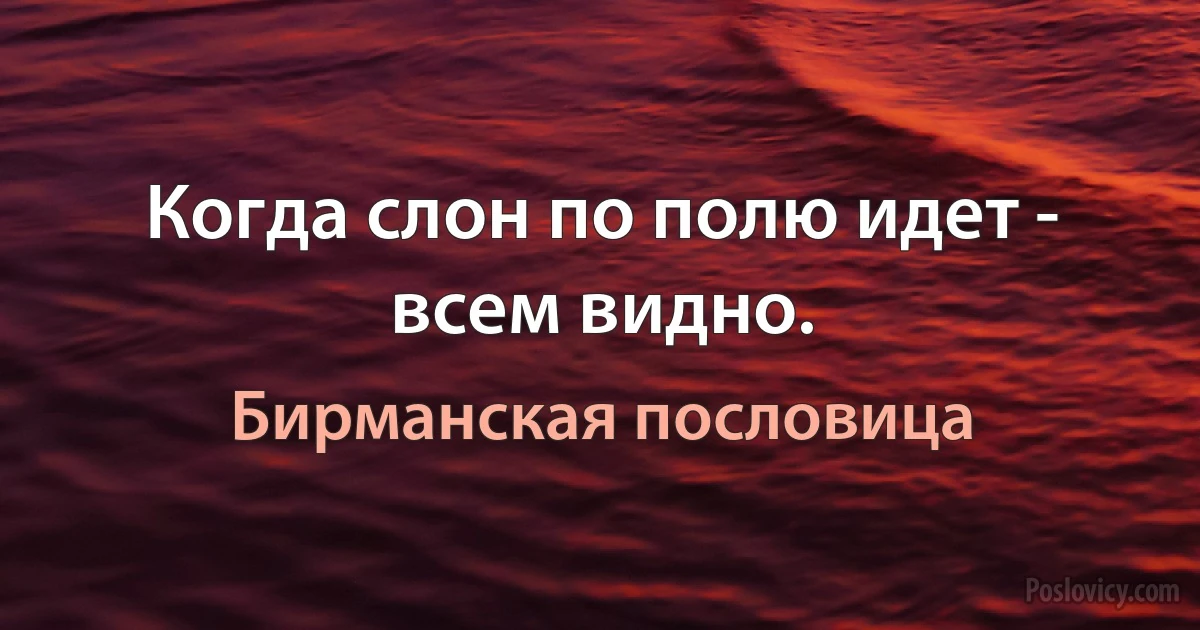 Когда слон по полю идет - всем видно. (Бирманская пословица)