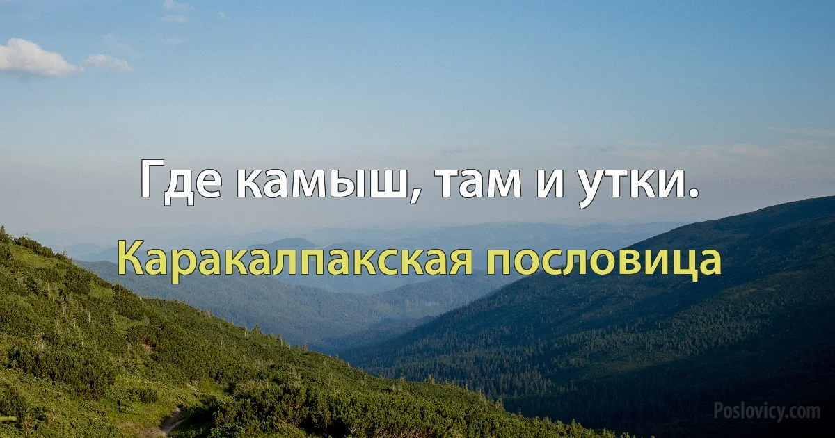 Где камыш, там и утки. (Каракалпакская пословица)