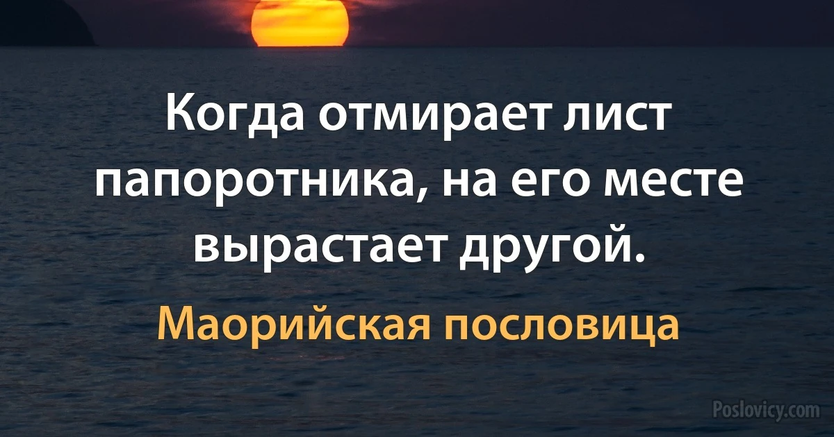 Когда отмирает лист папоротника, на его месте вырастает другой. (Маорийская пословица)