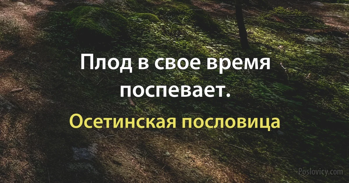 Плод в свое время поспевает. (Осетинская пословица)