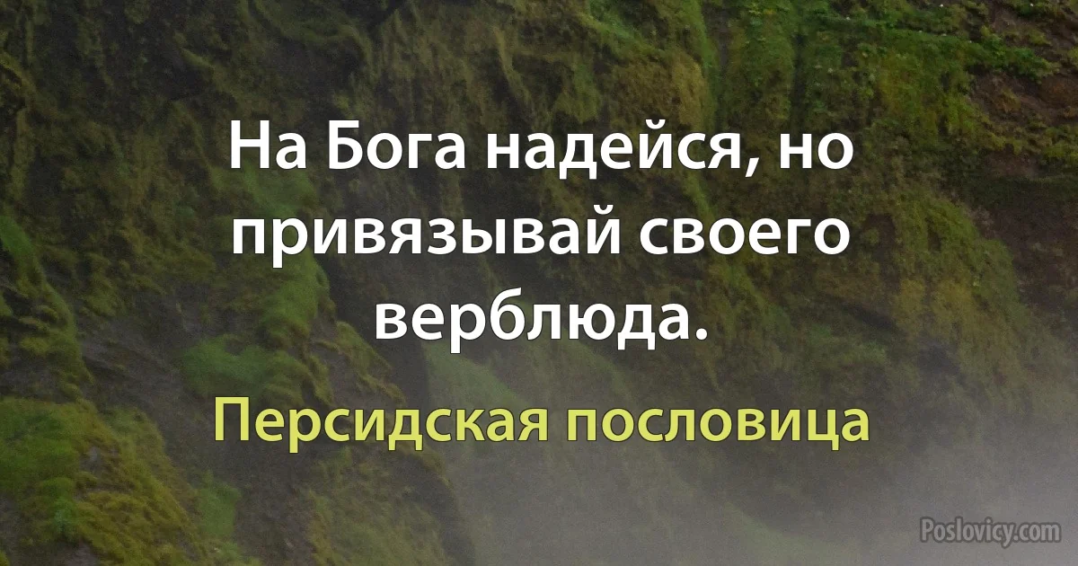 На Бога надейся, но привязывай своего верблюда. (Персидская пословица)