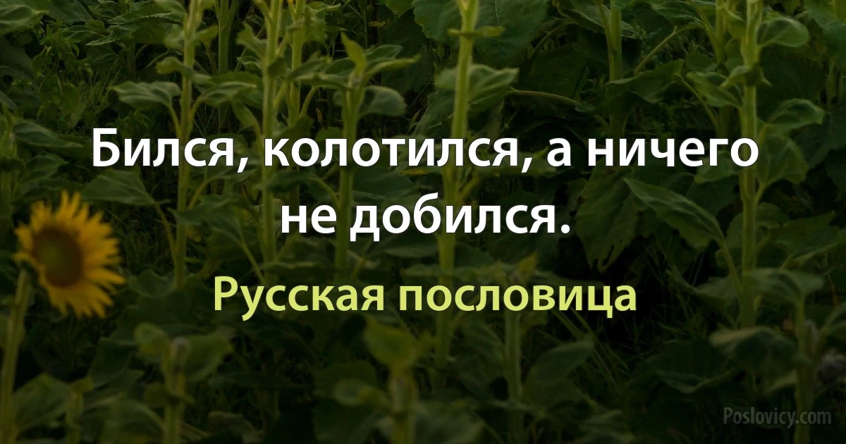 Бился, колотился, а ничего не добился. (Русская пословица)