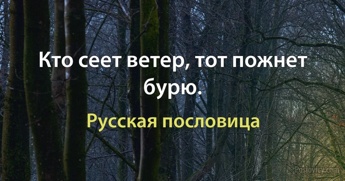 Кто сеет ветер, тот пожнет бурю. (Русская пословица)