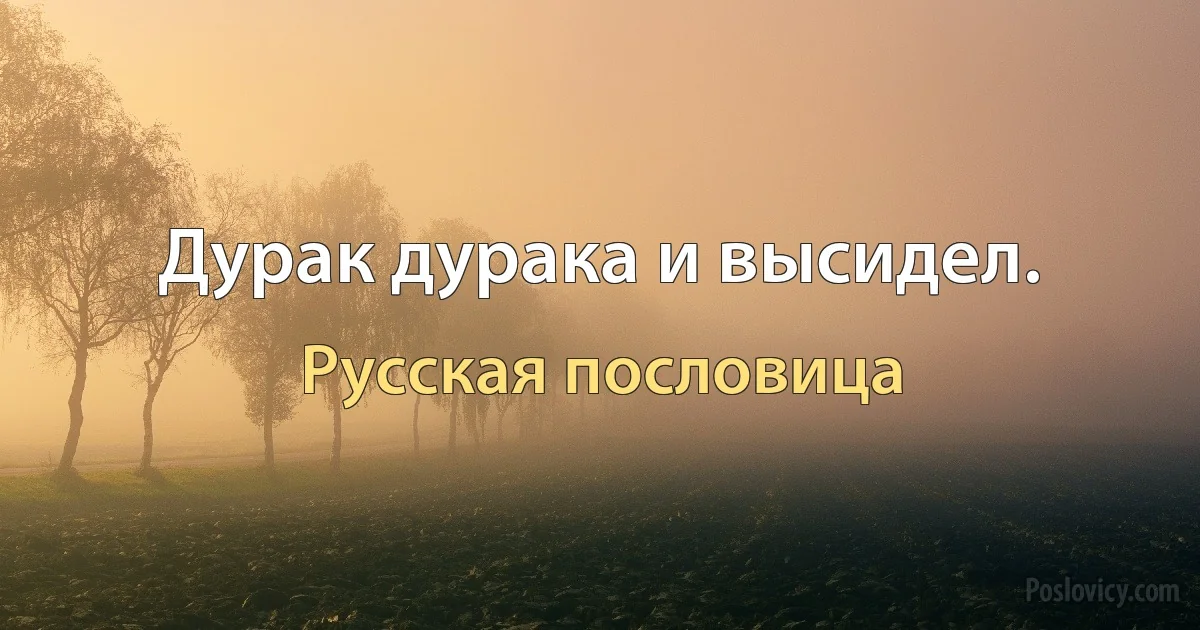 Дурак дурака и высидел. (Русская пословица)