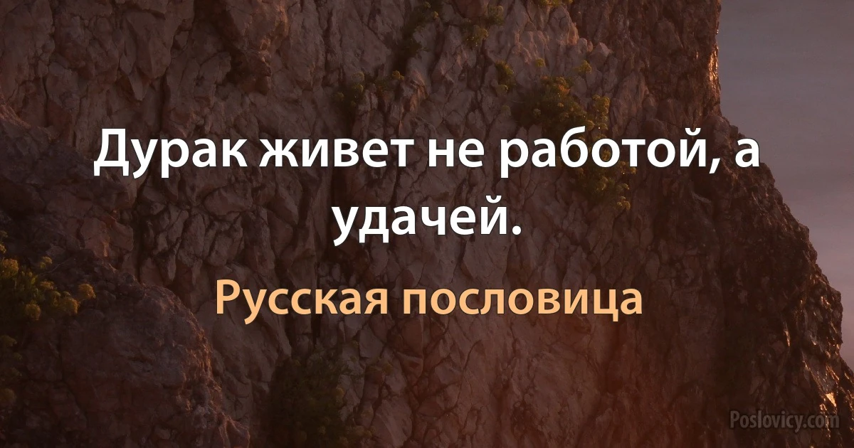 Дурак живет не работой, а удачей. (Русская пословица)