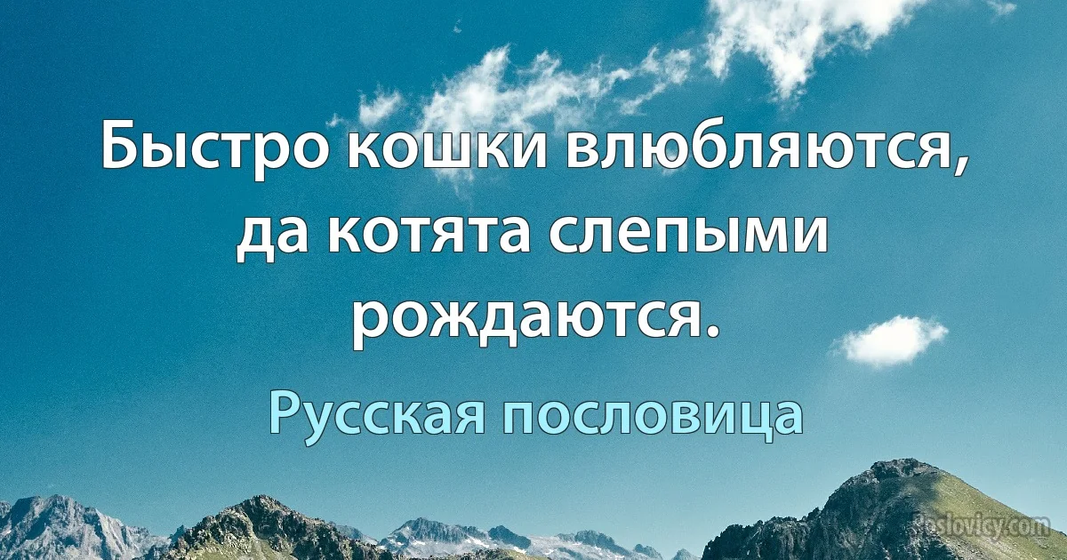 Быстро кошки влюбляются, да котята слепыми рождаются. (Русская пословица)