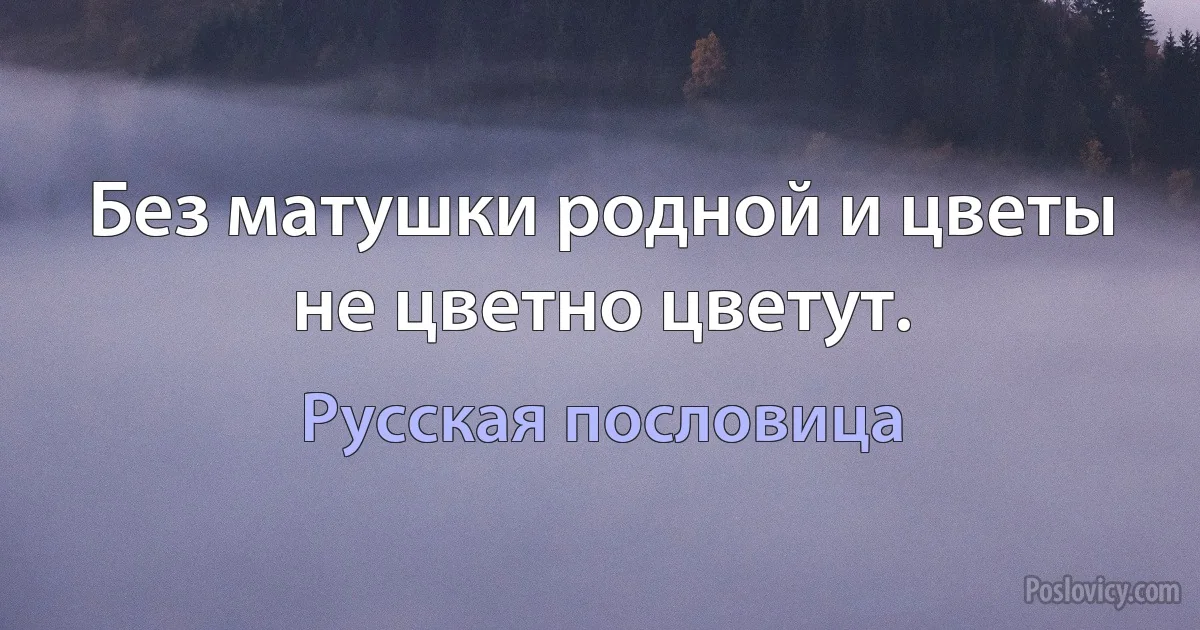 Без матушки родной и цветы не цветно цветут. (Русская пословица)