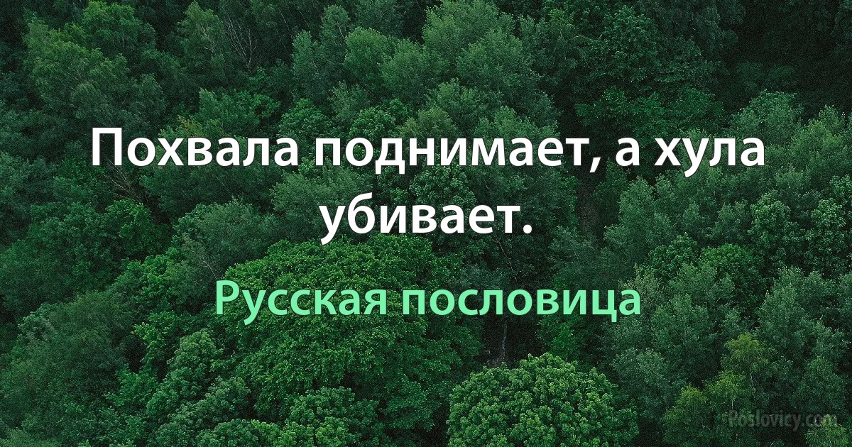 Похвала поднимает, а хула убивает. (Русская пословица)