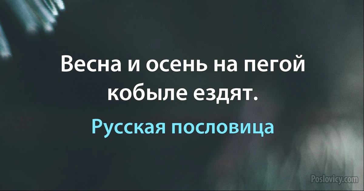 Весна и осень на пегой кобыле ездят. (Русская пословица)