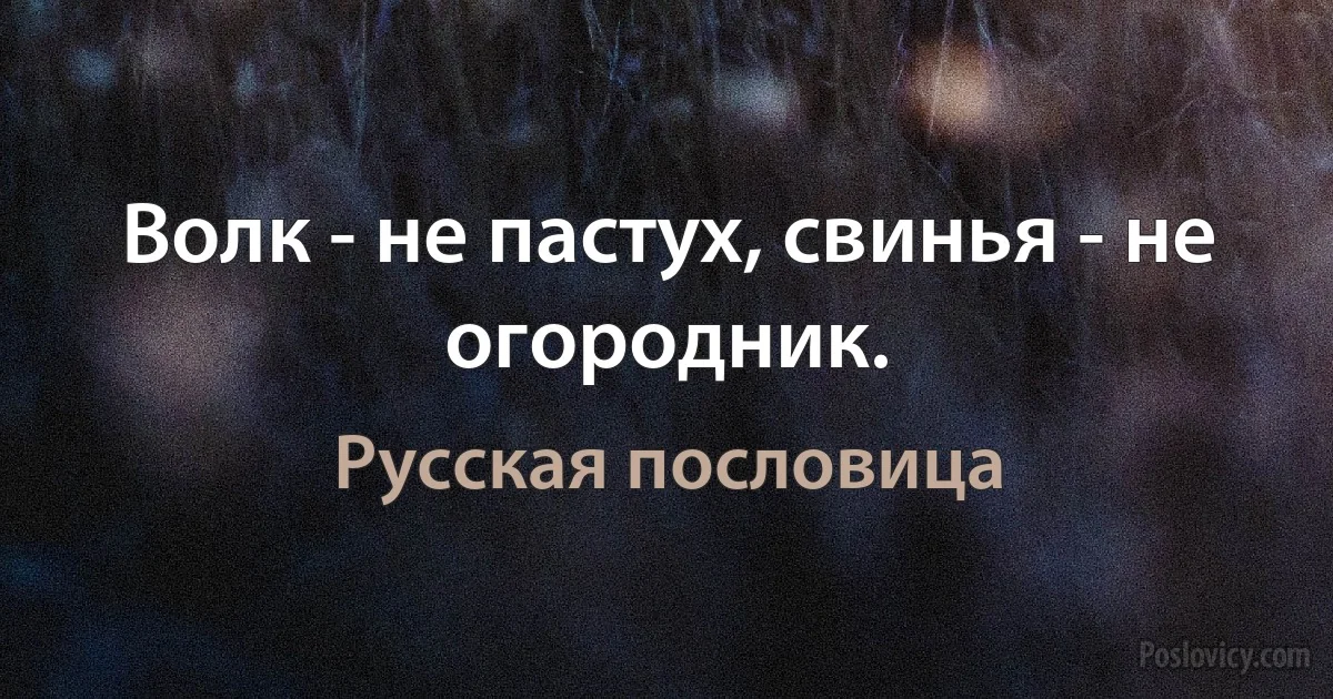 Волк - не пастух, свинья - не огородник. (Русская пословица)