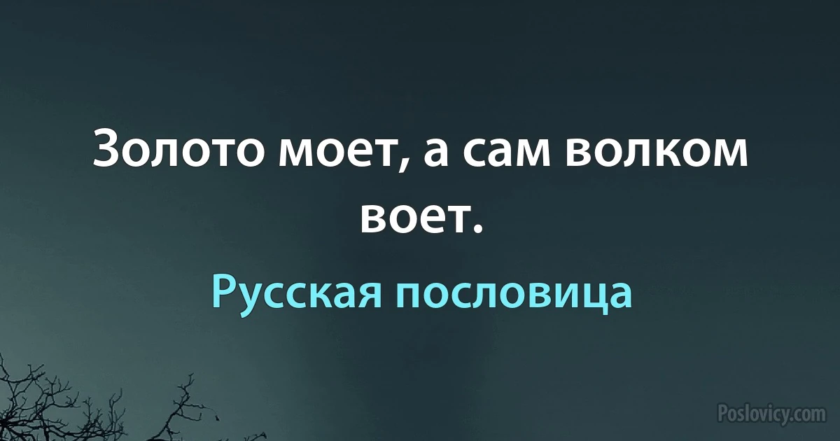 Золото моет, а сам волком воет. (Русская пословица)