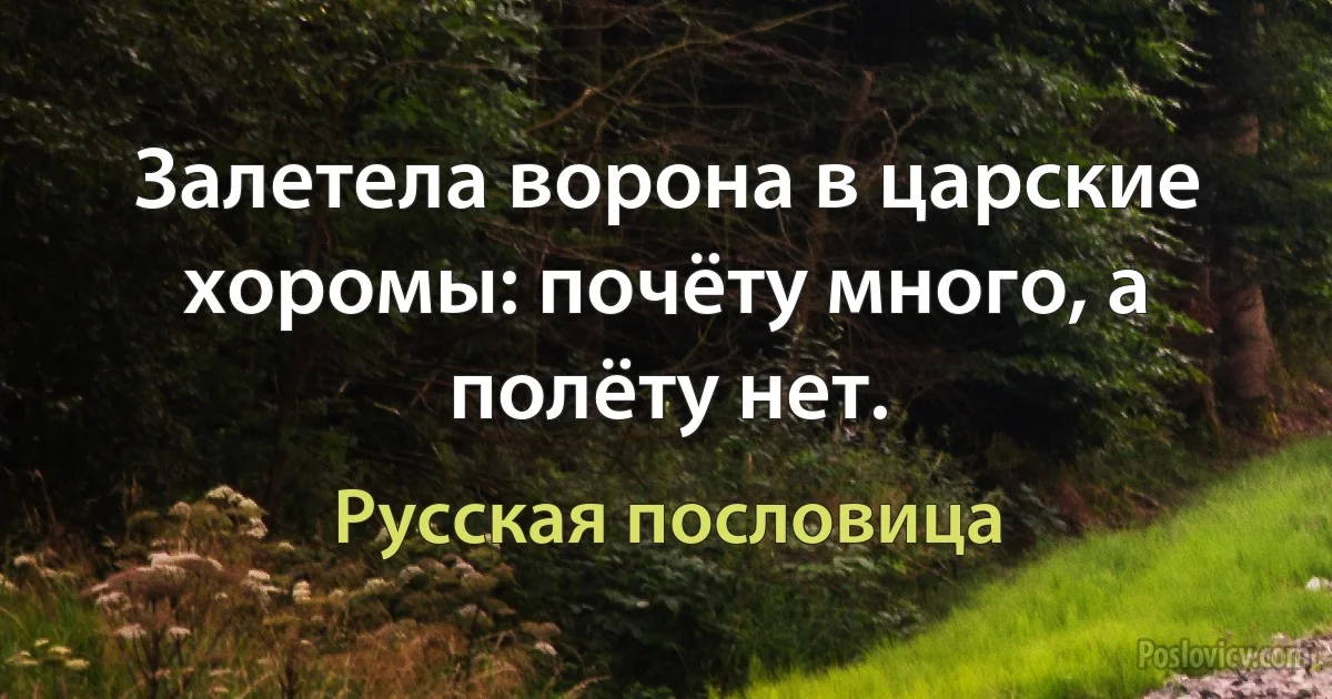 Залетела ворона в царские хоромы: почёту много, а полёту нет. (Русская пословица)