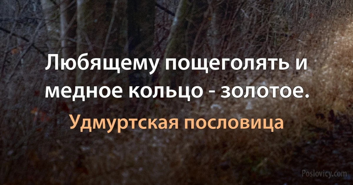 Любящему пощеголять и медное кольцо - золотое. (Удмуртская пословица)