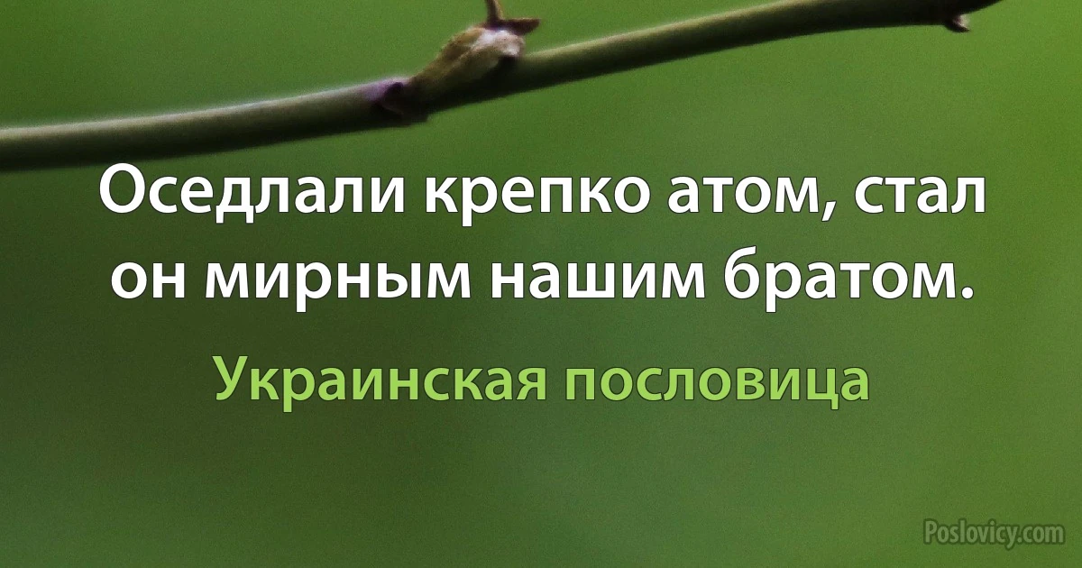 Оседлали крепко атом, стал он мирным нашим братом. (Украинская пословица)