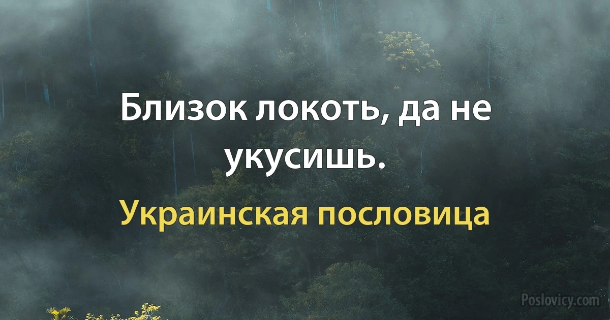 Близок локоть, да не укусишь. (Украинская пословица)