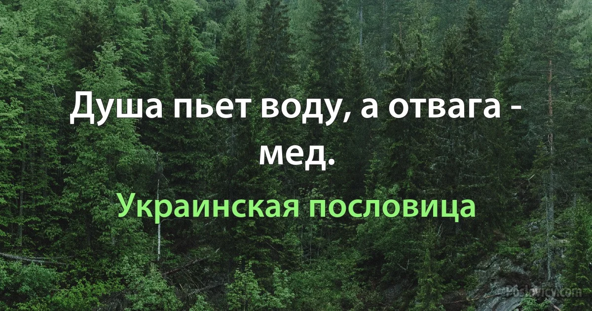 Душа пьет воду, а отвага - мед. (Украинская пословица)