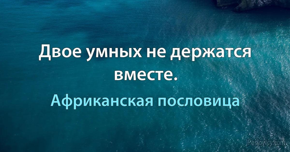 Двое умных не держатся вместе. (Африканская пословица)