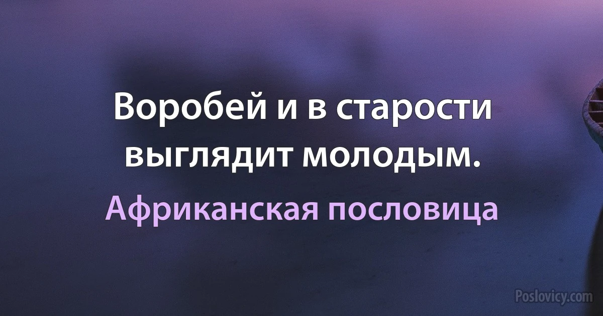 Воробей и в старости выглядит молодым. (Африканская пословица)