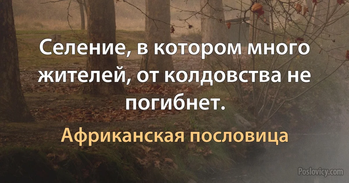 Селение, в котором много жителей, от колдовства не погибнет. (Африканская пословица)