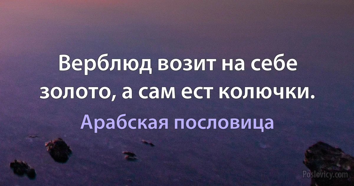 Верблюд возит на себе золото, а сам ест колючки. (Арабская пословица)