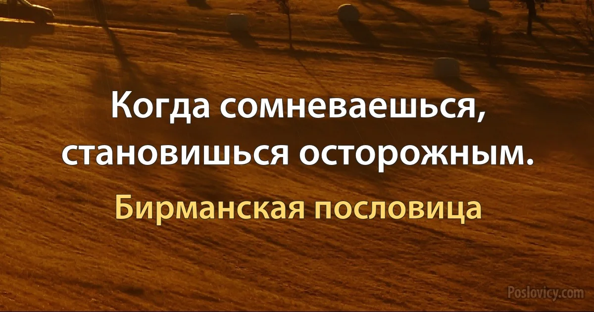 Когда сомневаешься, становишься осторожным. (Бирманская пословица)